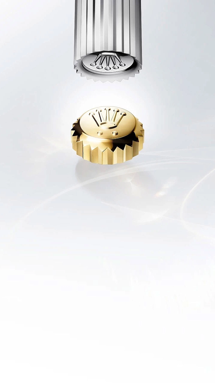Excelencia en desarrollo - Eurochronos